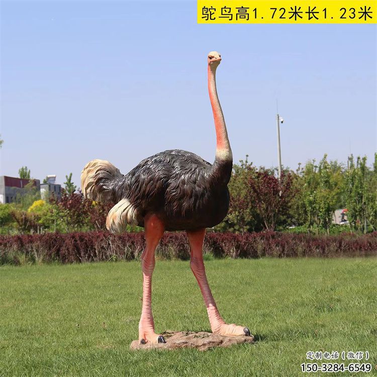 玻璃鋼仿真鴕鳥雕塑廠家,公園廣場動物,大型園林小品 玻璃鋼仿真鴕鳥雕塑廠家,公園廣場動物,大型園林小品